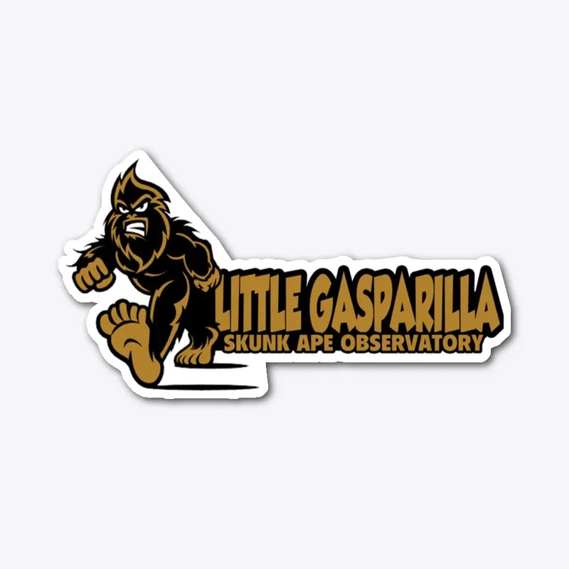 LGI Skunk Ape Observatory